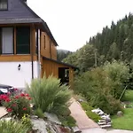 Apartamento Sternkopf Breitenbrunn (Saxony)