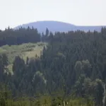 Sternkopf Breitenbrunn (Saxony)
