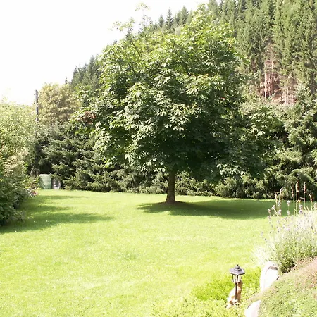 Apartment Sternkopf Breitenbrunn (Saxony)