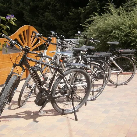 Sternkopf Breitenbrunn (Saxony)