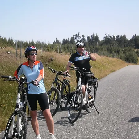 Apartment Sternkopf Breitenbrunn (Saxony)