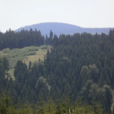 Sternkopf Breitenbrunn (Saxony)