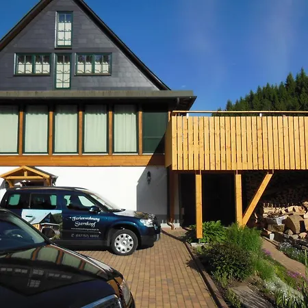 Apartment Sternkopf Breitenbrunn (Saxony)