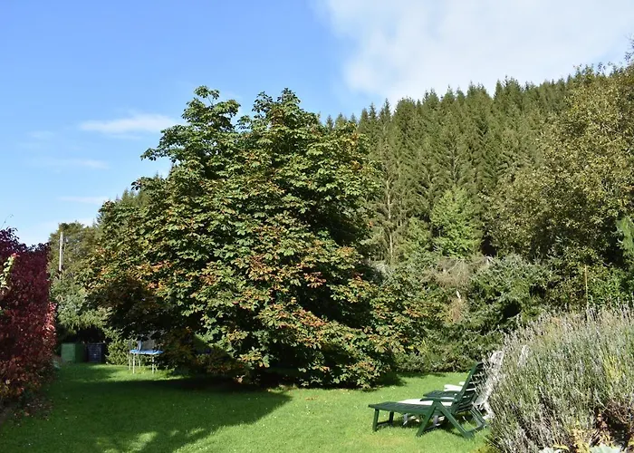 Apartment Sternkopf *