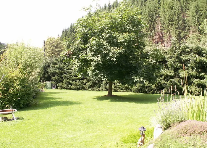 Apartment Sternkopf Breitenbrunn (Saxony)