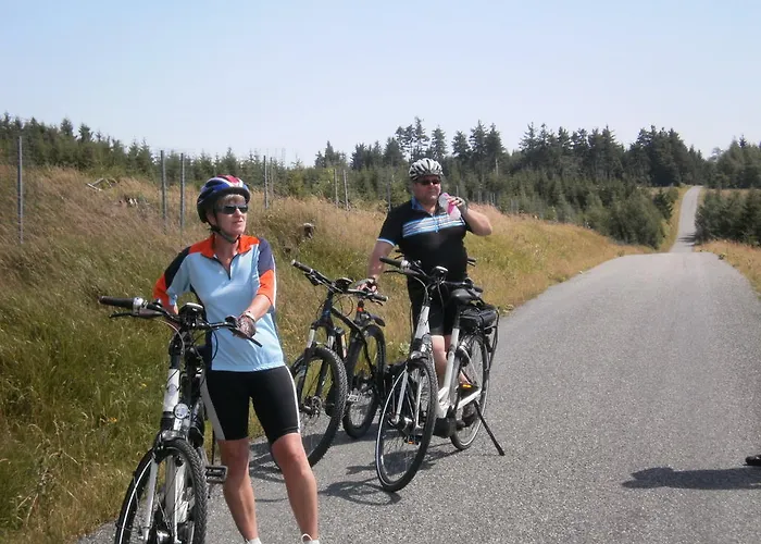 Apartment Sternkopf Breitenbrunn (Saxony)